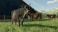 Farming Simulator 22 Download CDKey_Screenshot 9