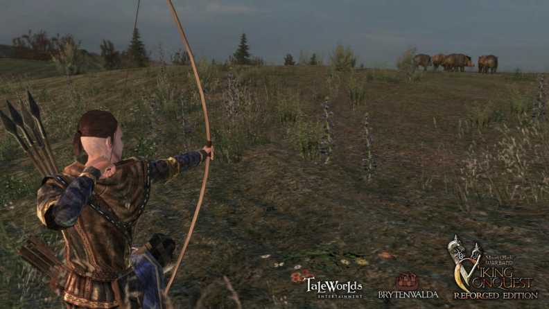 Mount & Blade: Warband - Viking Conquest Reforged Edition Download CDKey_Screenshot 2