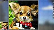 Pixel Puzzles Illustrations & Anime - Jigsaw pack: Little Dogs Download CDKey_Screenshot 7