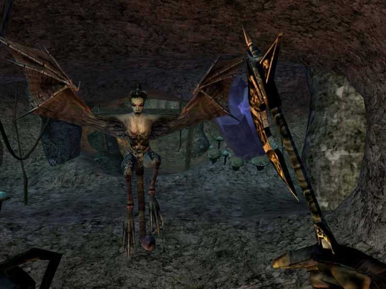 The Elder Scrolls III: Morrowind® Game of the Year Edition Download CDKey_Screenshot 5