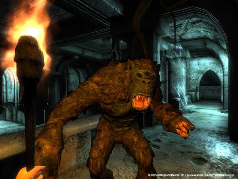 The Elder Scrolls IV: Oblivion® Game of the Year Edition Download CDKey_Screenshot 4