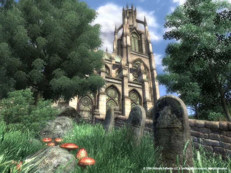 The Elder Scrolls IV: Oblivion® Game of the Year Edition Download CDKey_Screenshot 6
