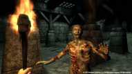 The Elder Scrolls IV: Oblivion® Game of the Year Edition Download CDKey_Screenshot 2
