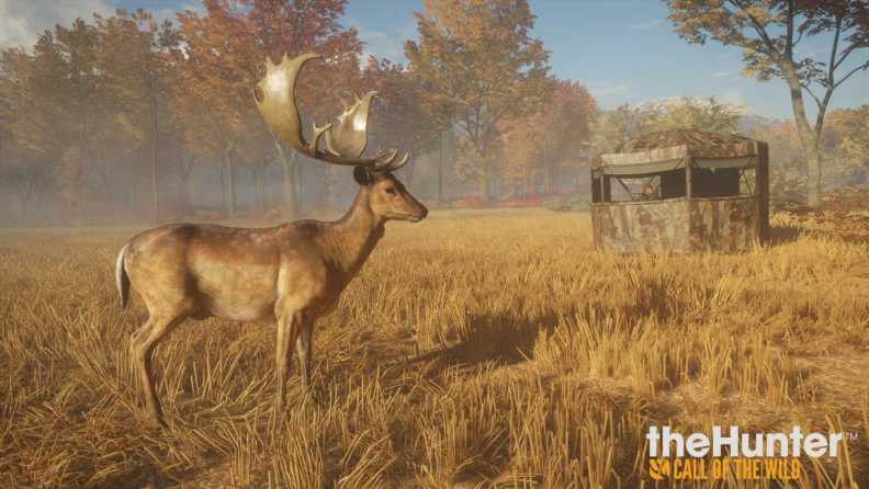 Buy Thehunter Call Of The Wild Tents Ground Blinds Steam Key Instant Delivery Steam Cd Key