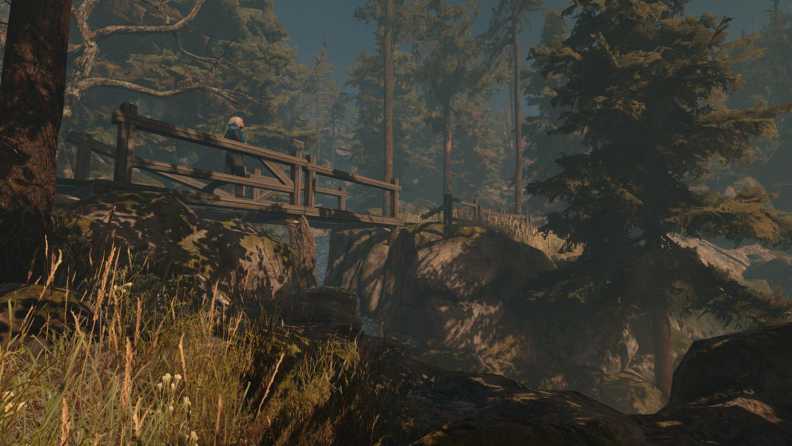 Through the Woods: Digital Collector's Edition Download CDKey_Screenshot 6