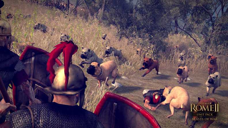 Total War™: ROME II - Beasts of War Download CDKey_Screenshot 3