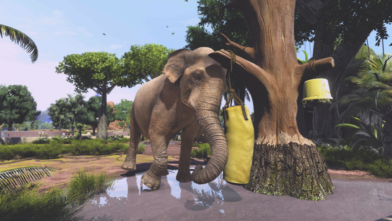 Zoo Tycoon: Ultimate Animal Collection Download CDKey_Screenshot 14